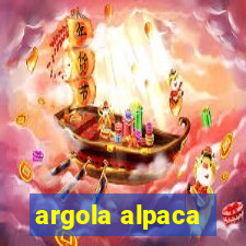 argola alpaca